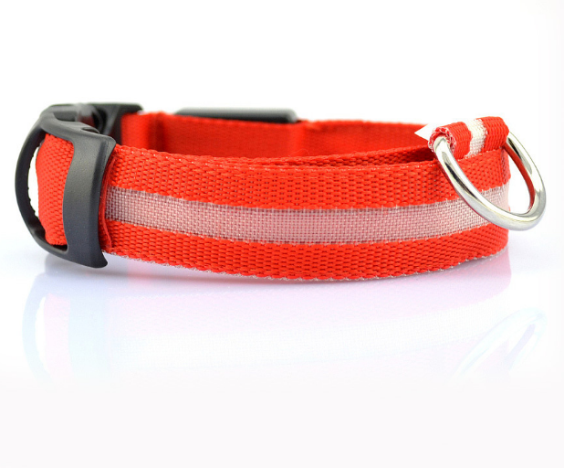 Leuchtendes Hundehalsband