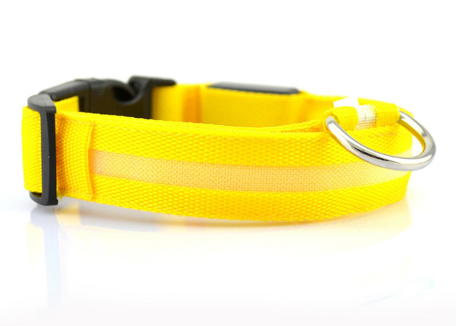 Leuchtendes Hundehalsband