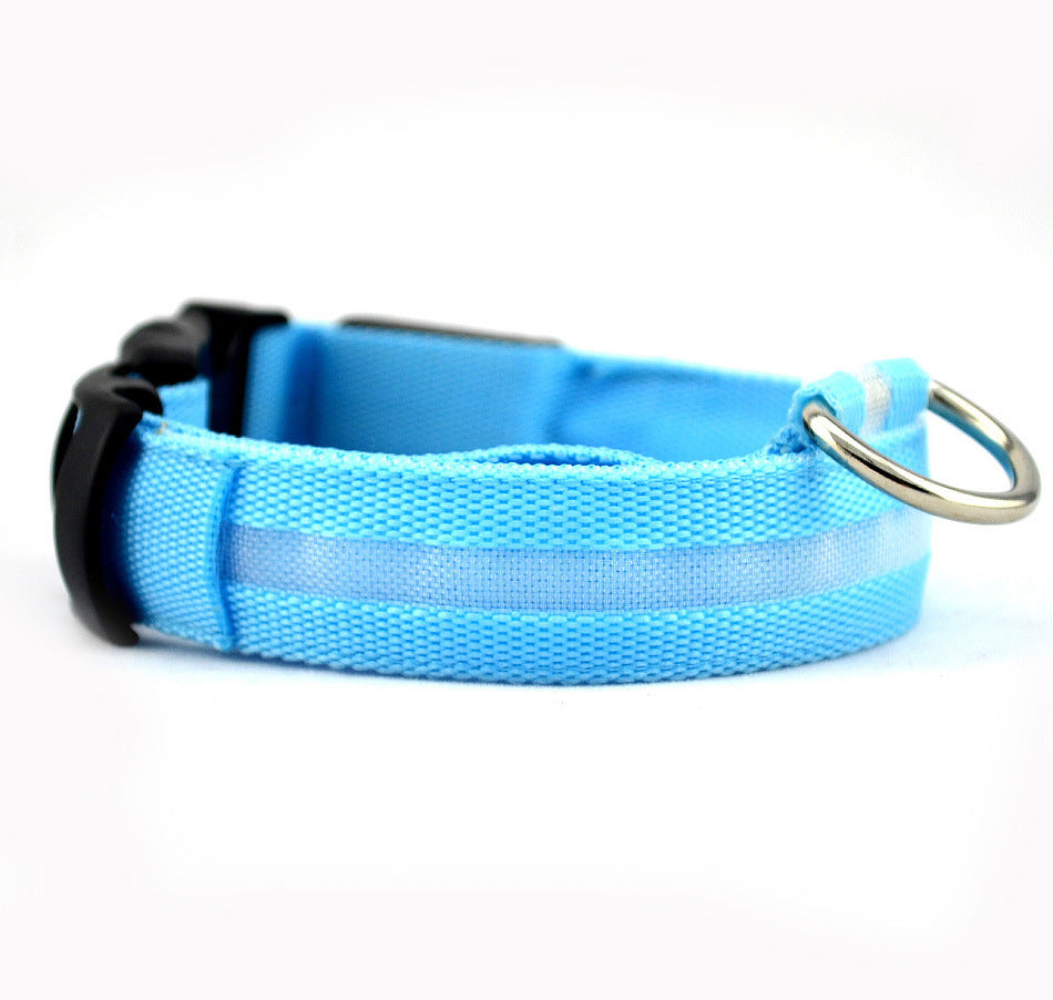 Leuchtendes Hundehalsband