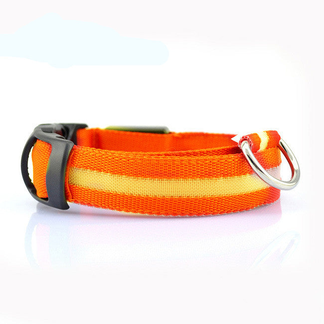 Leuchtendes Hundehalsband