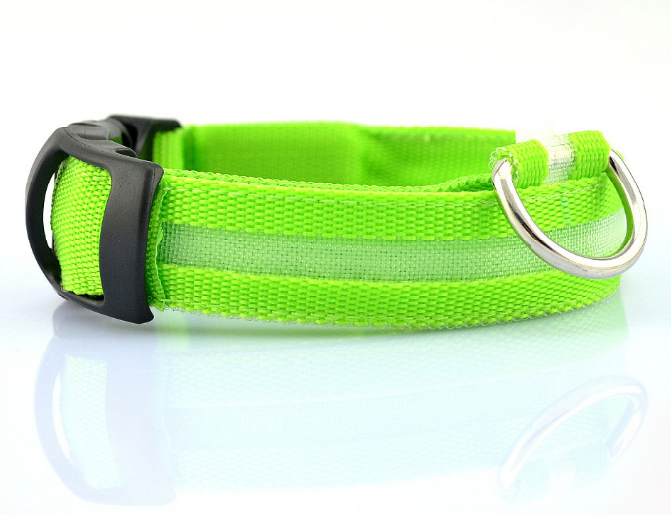 Leuchtendes Hundehalsband