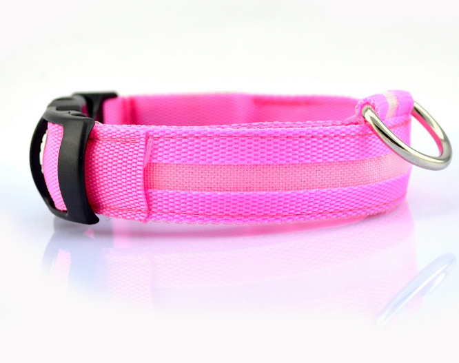 Leuchtendes Hundehalsband