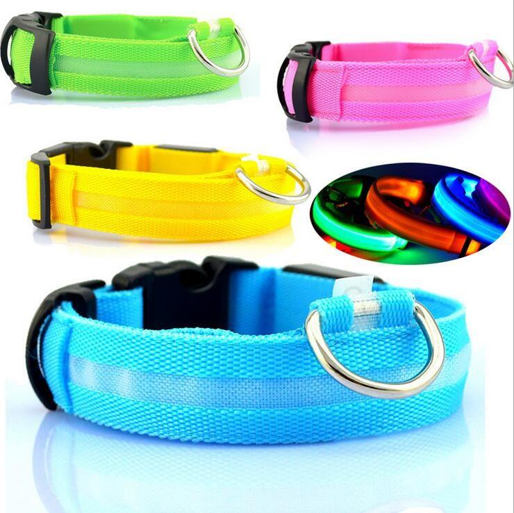 Leuchtendes Hundehalsband