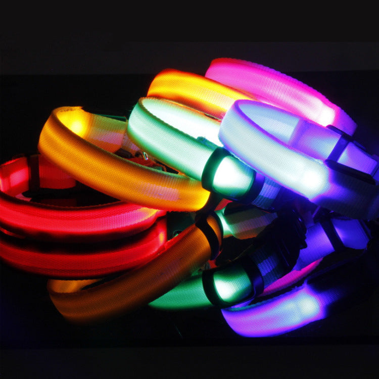 Leuchtendes Hundehalsband