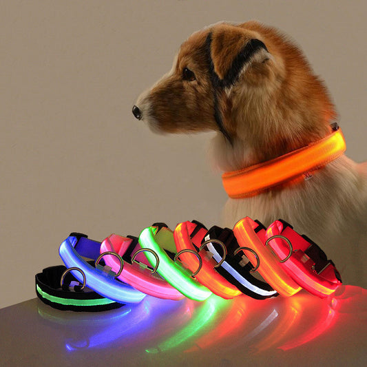 Leuchtendes Hundehalsband